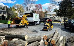 Best Commercial Tree Services  in Emmitsburg, MD